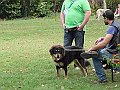 img 008